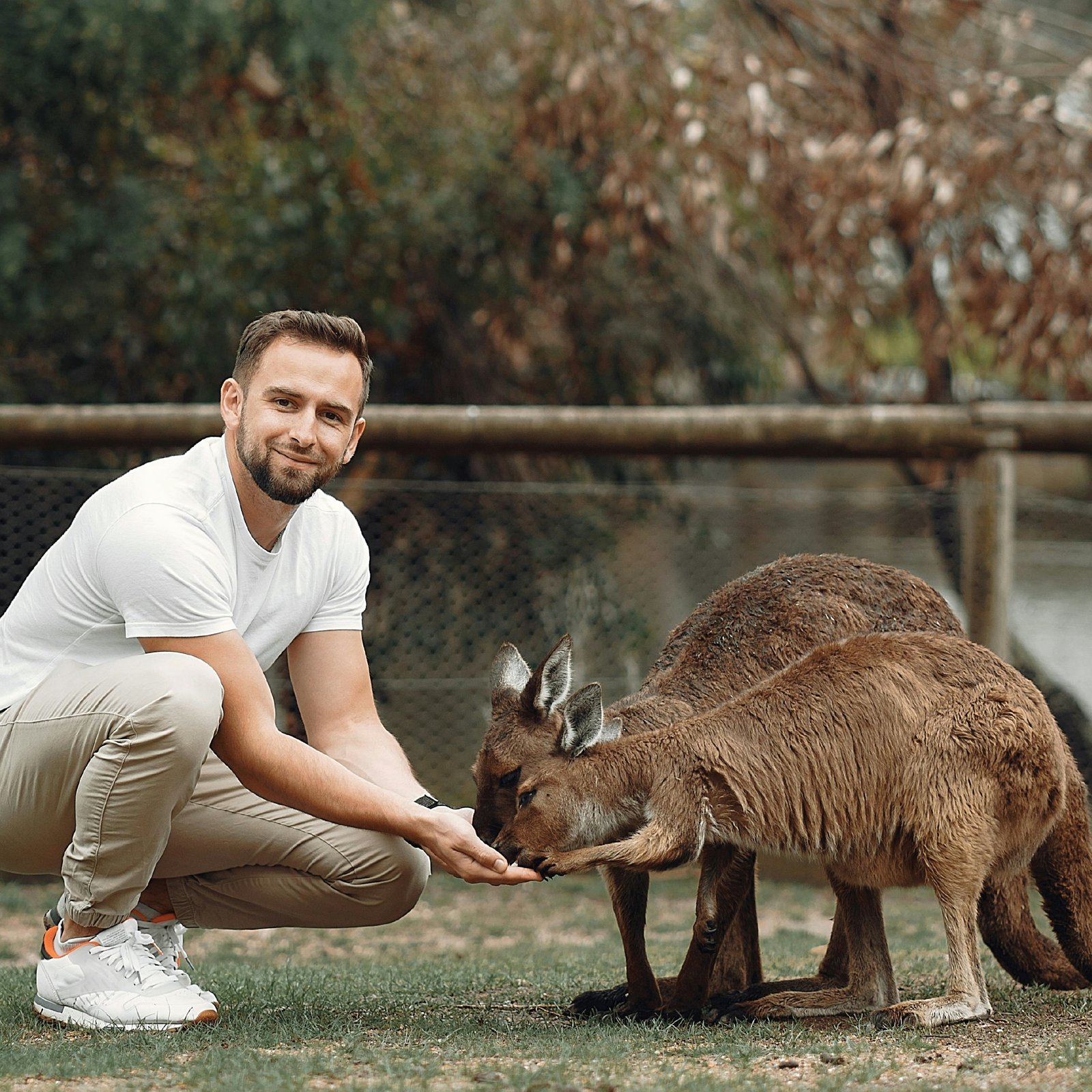 Visa du lịch tự túc